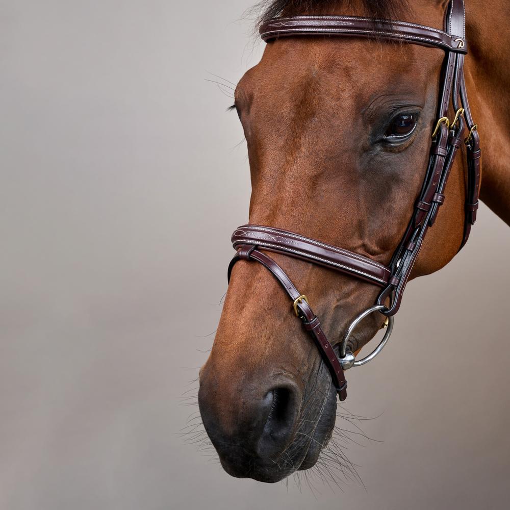 Dy'on Collection Flash Noseband Bridle - Equiluxe Tack