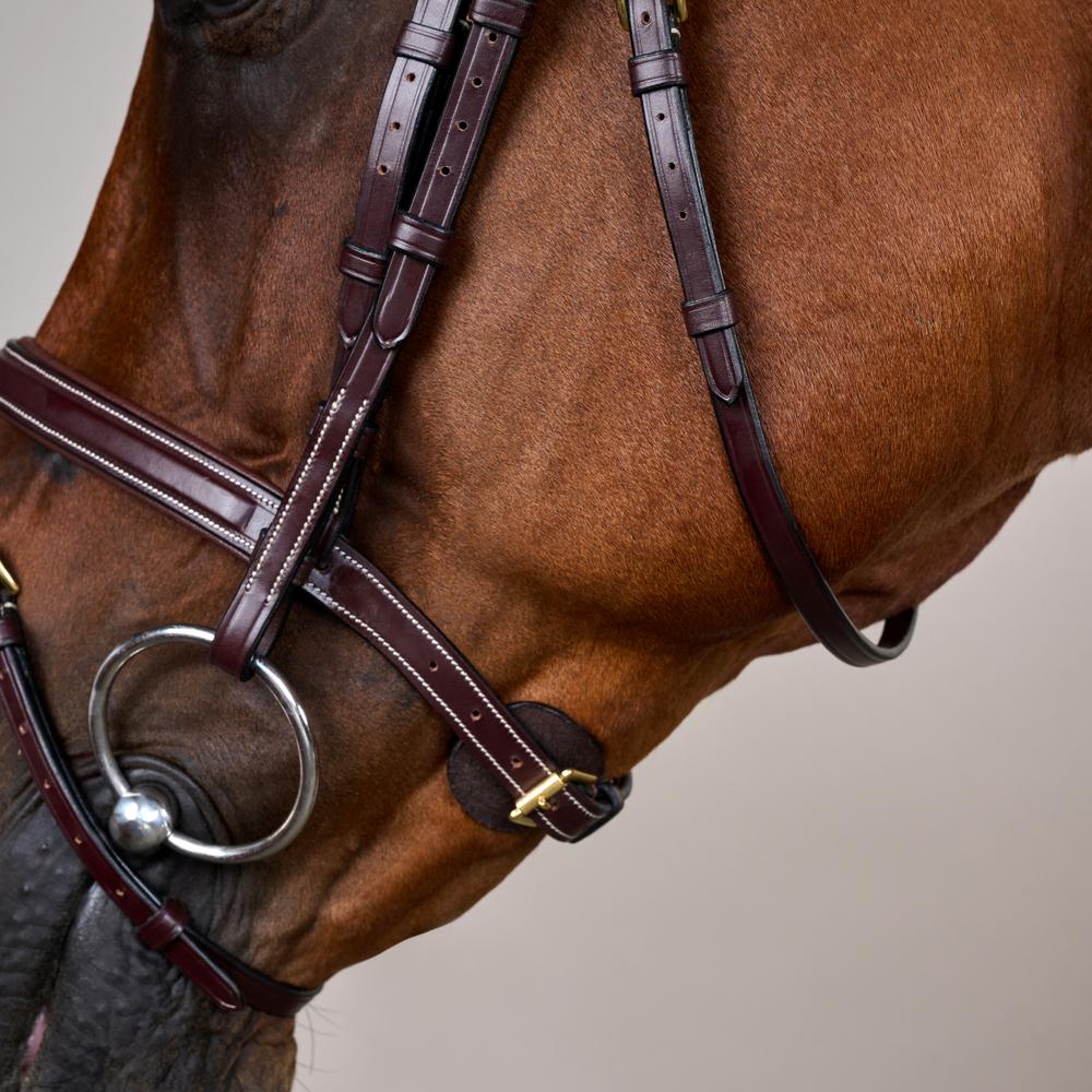 Dy'on Collection Flash Noseband Bridle - Equiluxe Tack