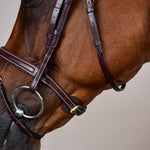 Dy'on Collection Flash Noseband Bridle - Equiluxe Tack