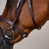 Dy'on Collection Flash Noseband Bridle - Equiluxe Tack