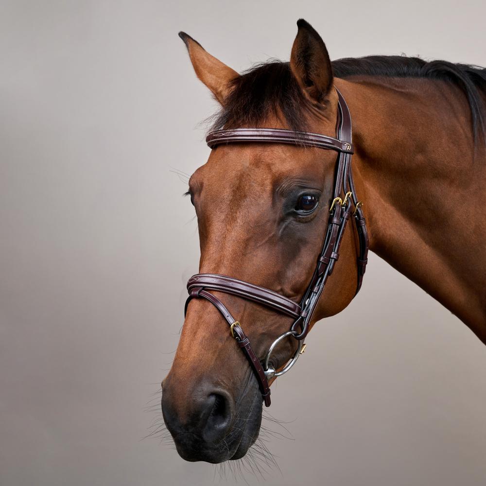 Dy'on Collection Flash Noseband Bridle - Equiluxe Tack