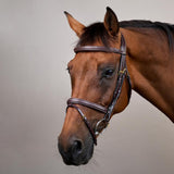 Dy'on Collection Flash Noseband Bridle - Equiluxe Tack