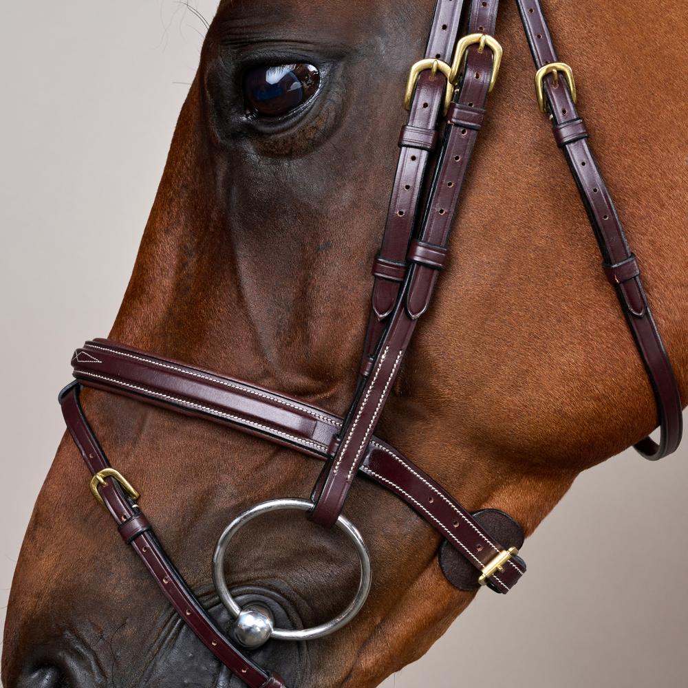 Dy'on Collection Flash Noseband Bridle - Equiluxe Tack