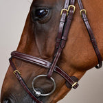 Dy'on Collection Flash Noseband Bridle - Equiluxe Tack