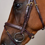 Dy'on Collection Flash Noseband Bridle - Equiluxe Tack