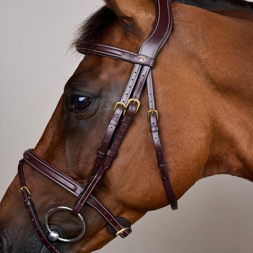 Dy'on Collection Flash Noseband Bridle - Equiluxe Tack