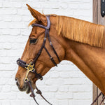 Dy'on Collection Hackamore - Equiluxe Tack