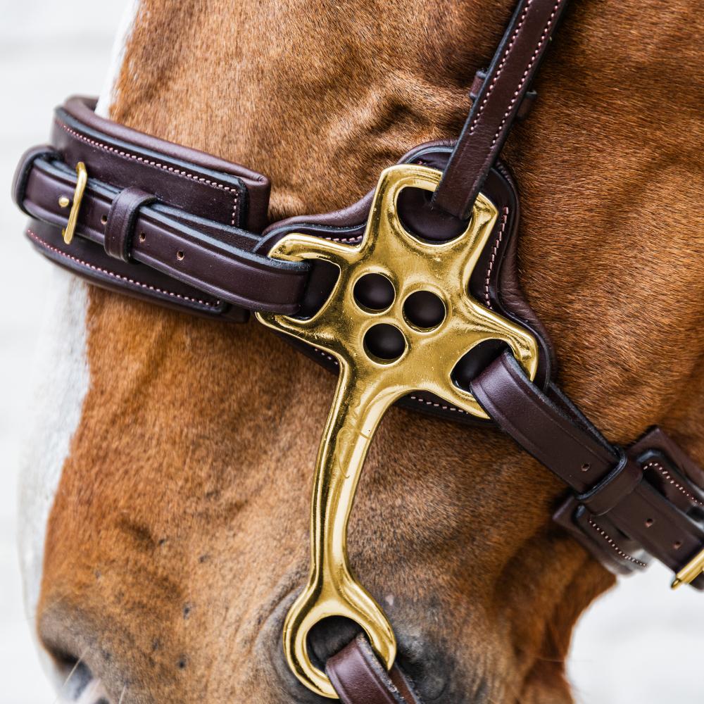 Dy'on Collection Hackamore - Equiluxe Tack