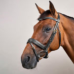 Dy'on Collection Plaited Flash Noseband Bridle Pull Back - Equiluxe Tack