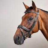 Dy'on Collection Plaited Flash Noseband Bridle Pull Back - Equiluxe Tack