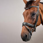 Dy'on Collection Plaited Flash Noseband Bridle Pull Back - Equiluxe Tack