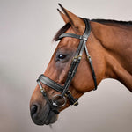 Dy'on Collection Plaited Flash Noseband Bridle Pull Back - Equiluxe Tack