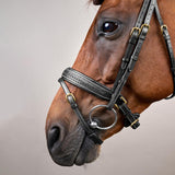 Dy'on Collection Plaited Flash Noseband Bridle Pull Back - Equiluxe Tack