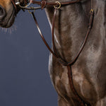 Dy'on Collection Running Martingale - Equiluxe Tack