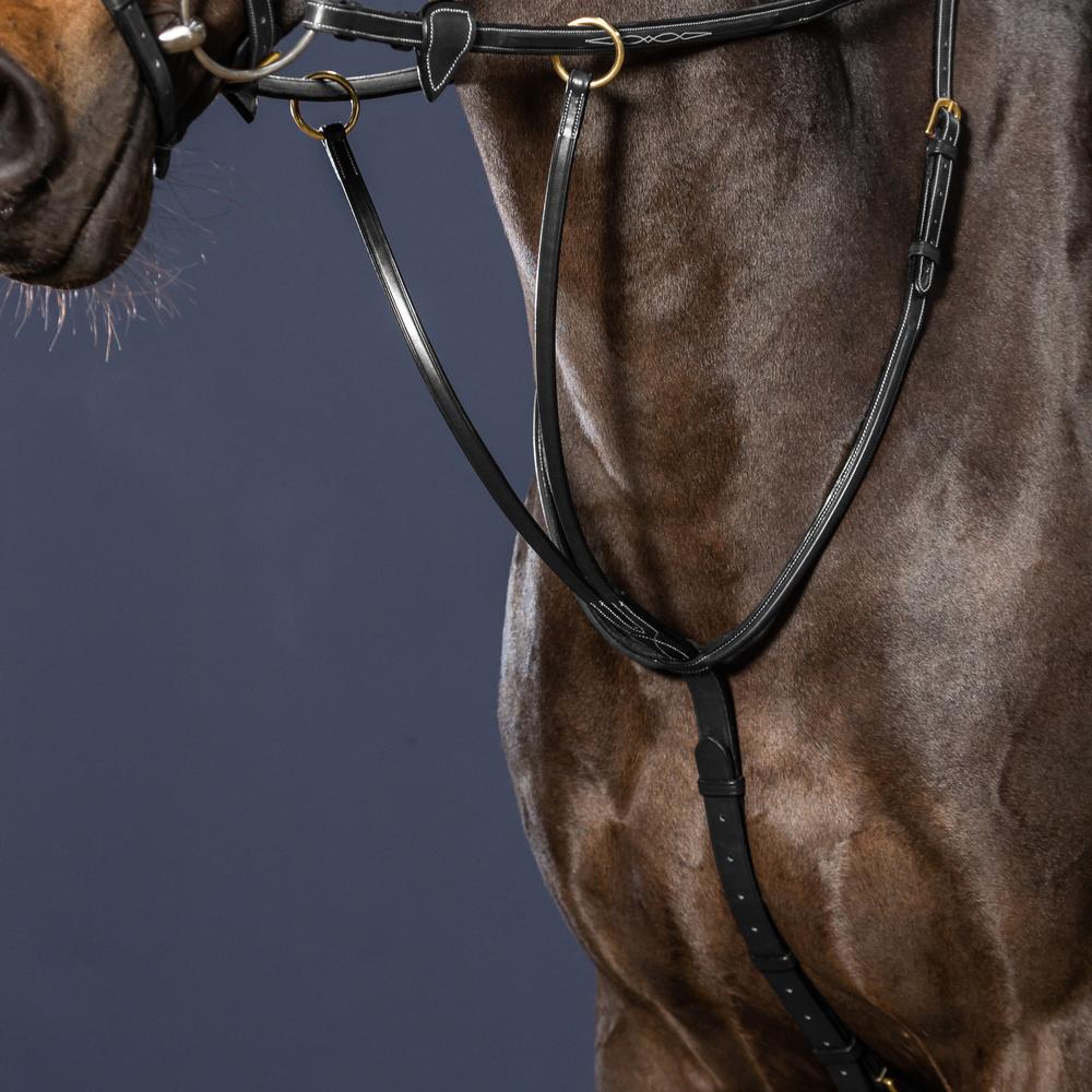Dy'on Collection Running Martingale - Equiluxe Tack