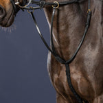 Dy'on Collection Running Martingale - Equiluxe Tack