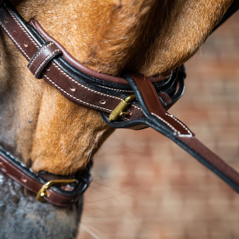 Dy'on Collection Standing Martingale Attachment - Equiluxe Tack