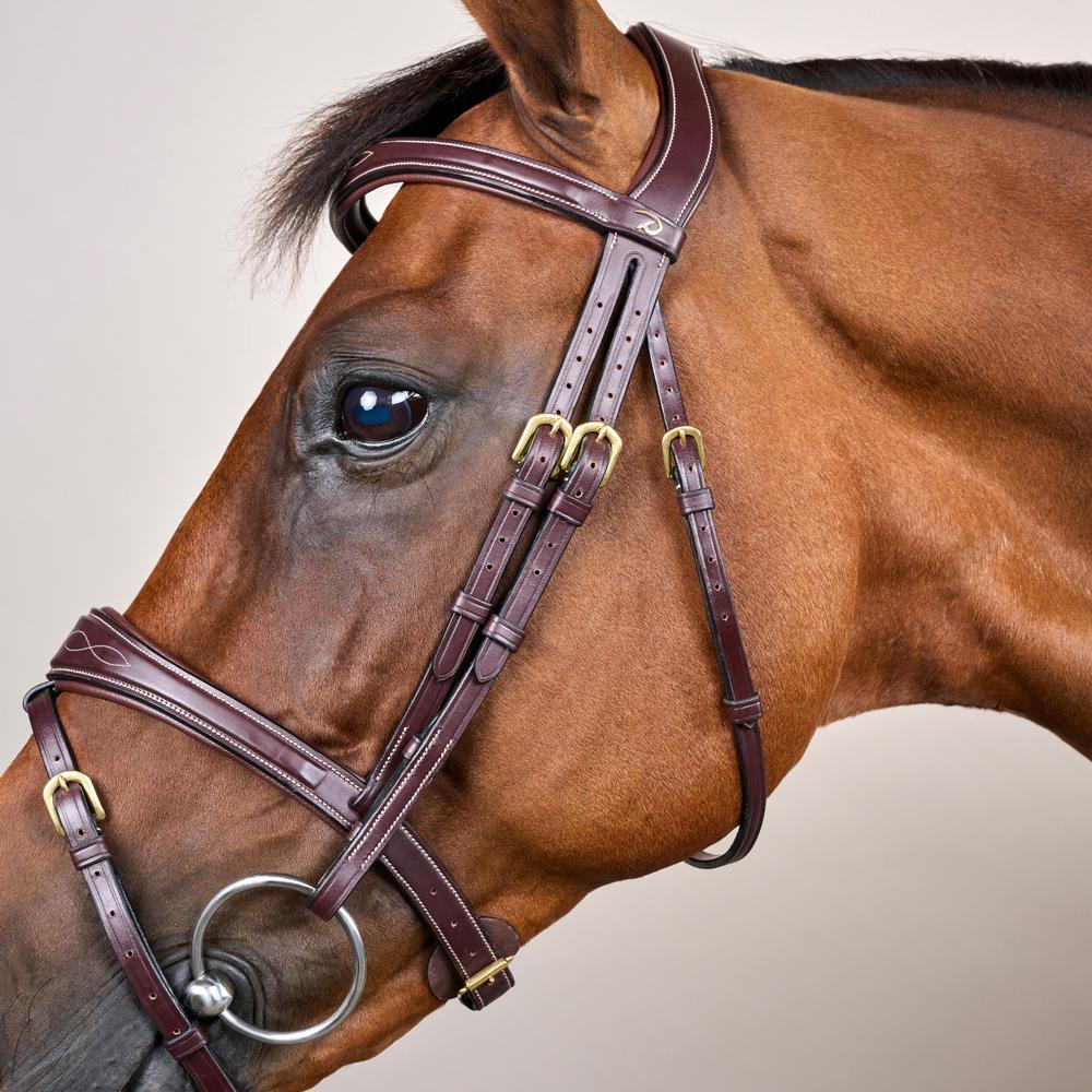Dy'on D Collection Anatomic Flash Noseband Bridle - Equiluxe Tack