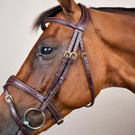 Dy'on D Collection Anatomic Flash Noseband Bridle - Equiluxe Tack