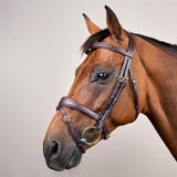 Dy'on D Collection Anatomic Flash Noseband Bridle - Equiluxe Tack