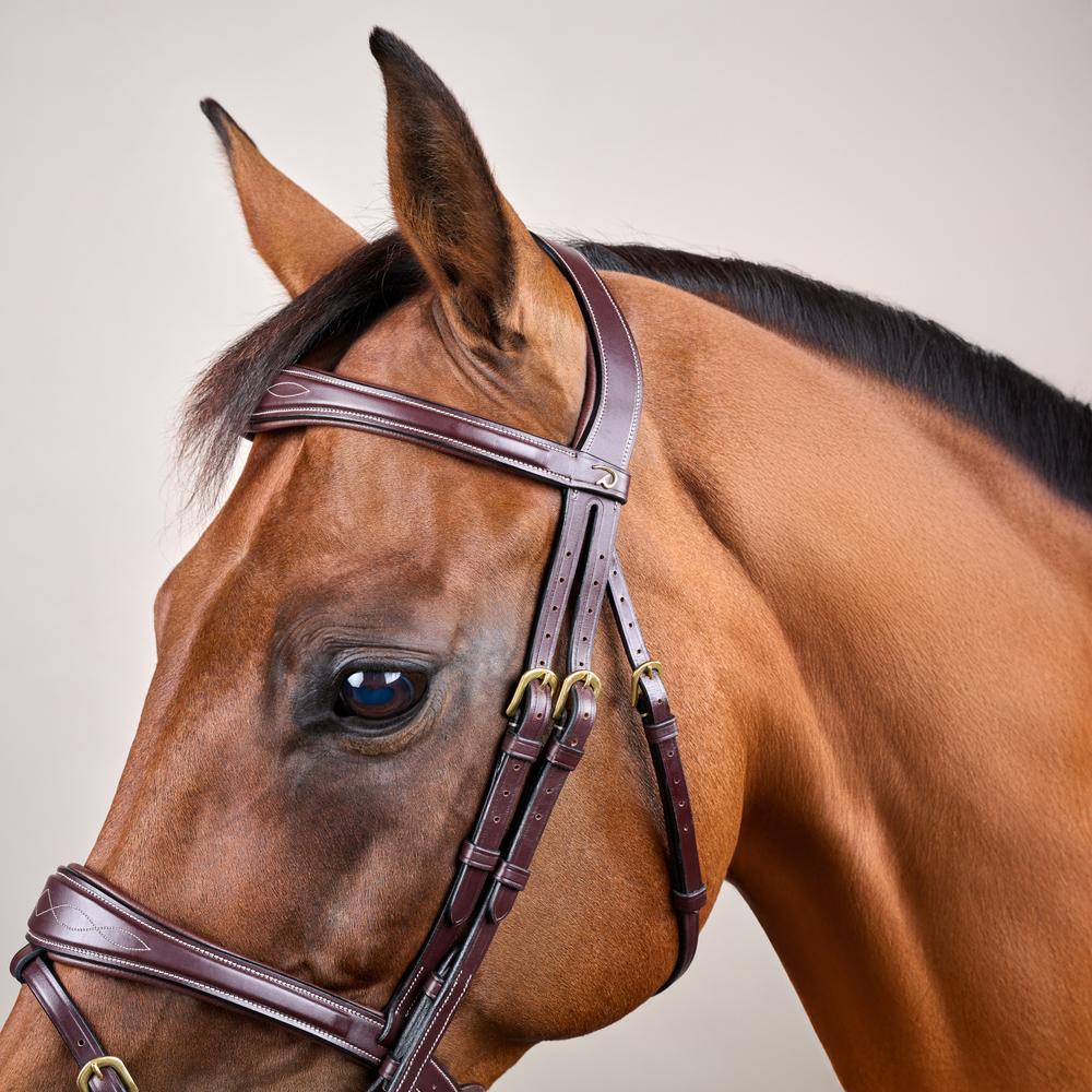 Dy'on D Collection Anatomic Flash Noseband Bridle - Equiluxe Tack