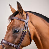 Dy'on D Collection Anatomic Flash Noseband Bridle - Equiluxe Tack