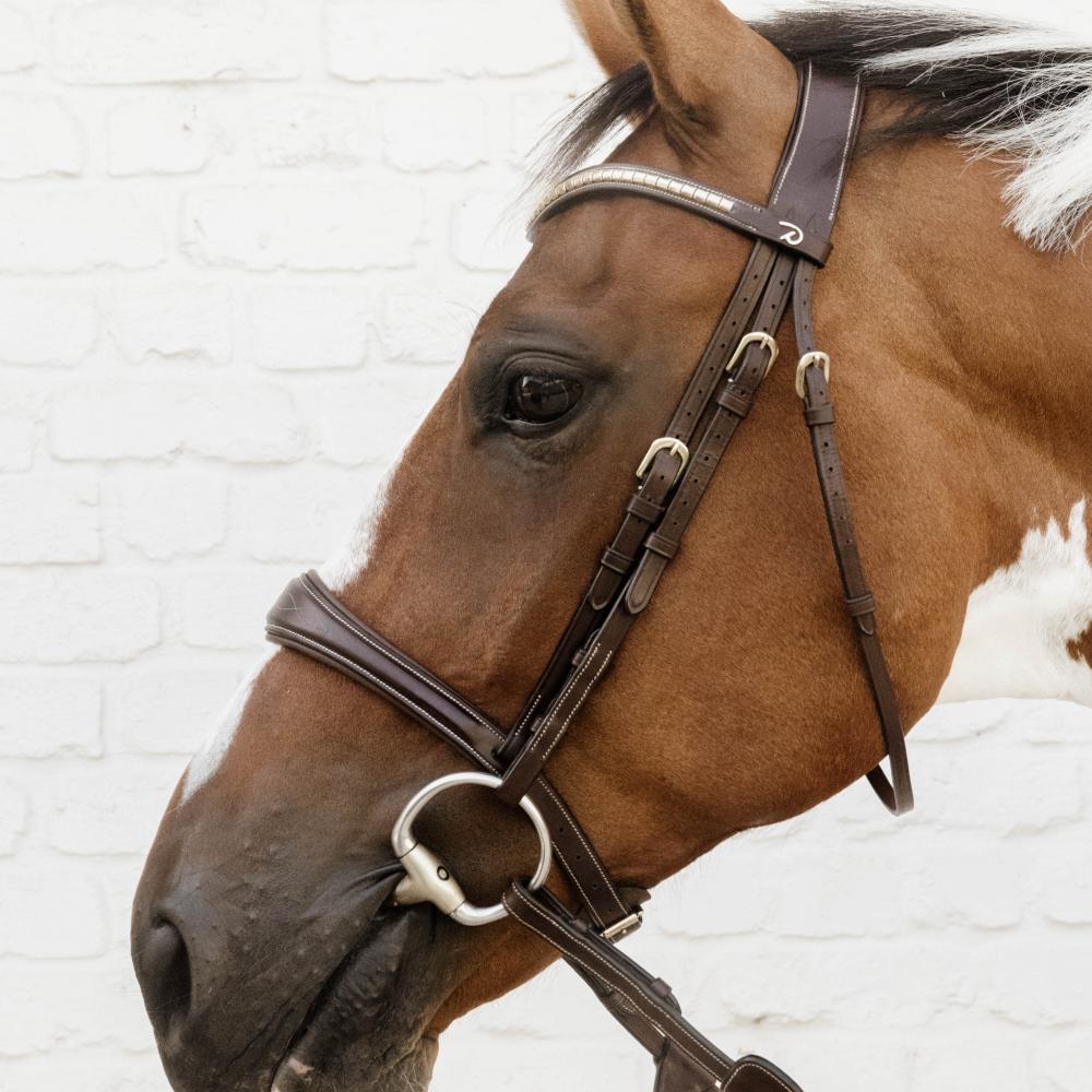Dy'on D Collection Anatomic Noseband Without Flash - Equiluxe Tack