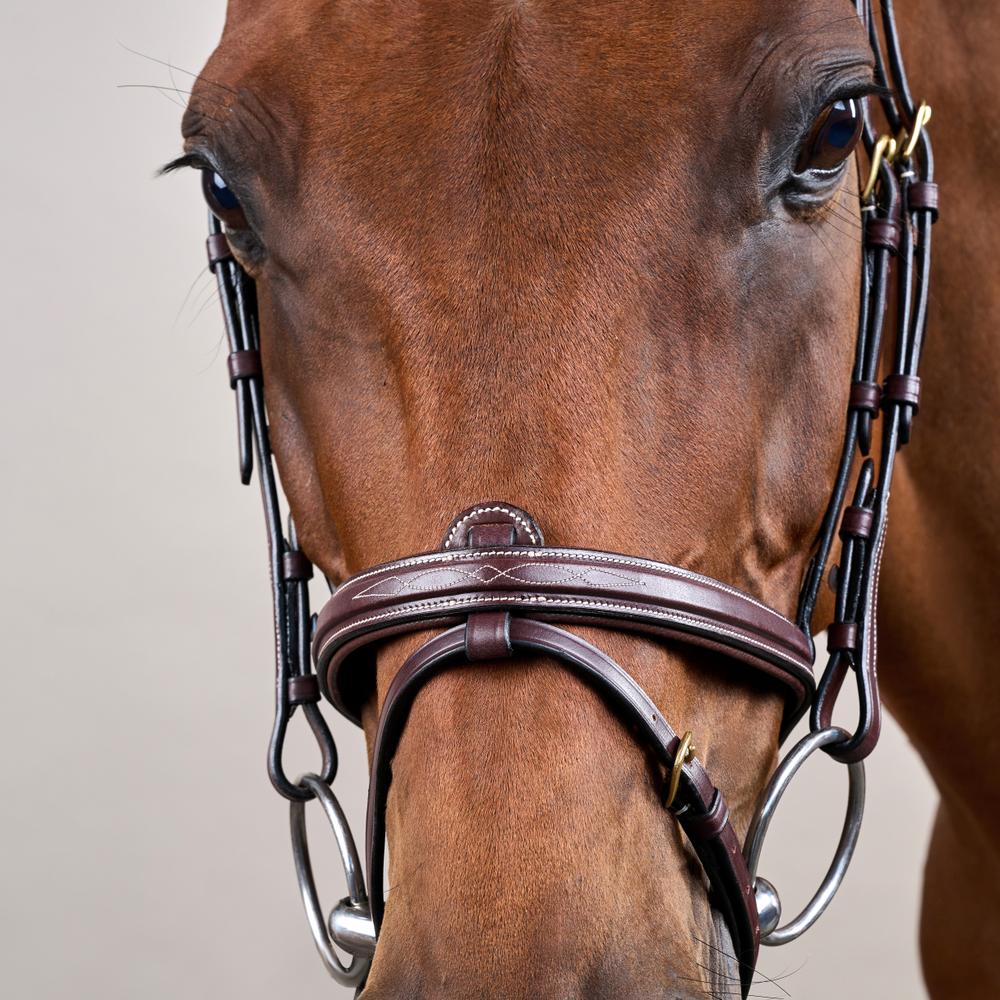 Dy'on D Collection Flash Noseband Bridle - Equiluxe Tack