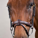 Dy'on D Collection Flash Noseband Bridle - Equiluxe Tack