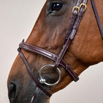 Dy'on D Collection Flash Noseband Bridle - Equiluxe Tack