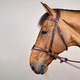 Dy'on D Motion Bridle New English Collection - Equiluxe Tack