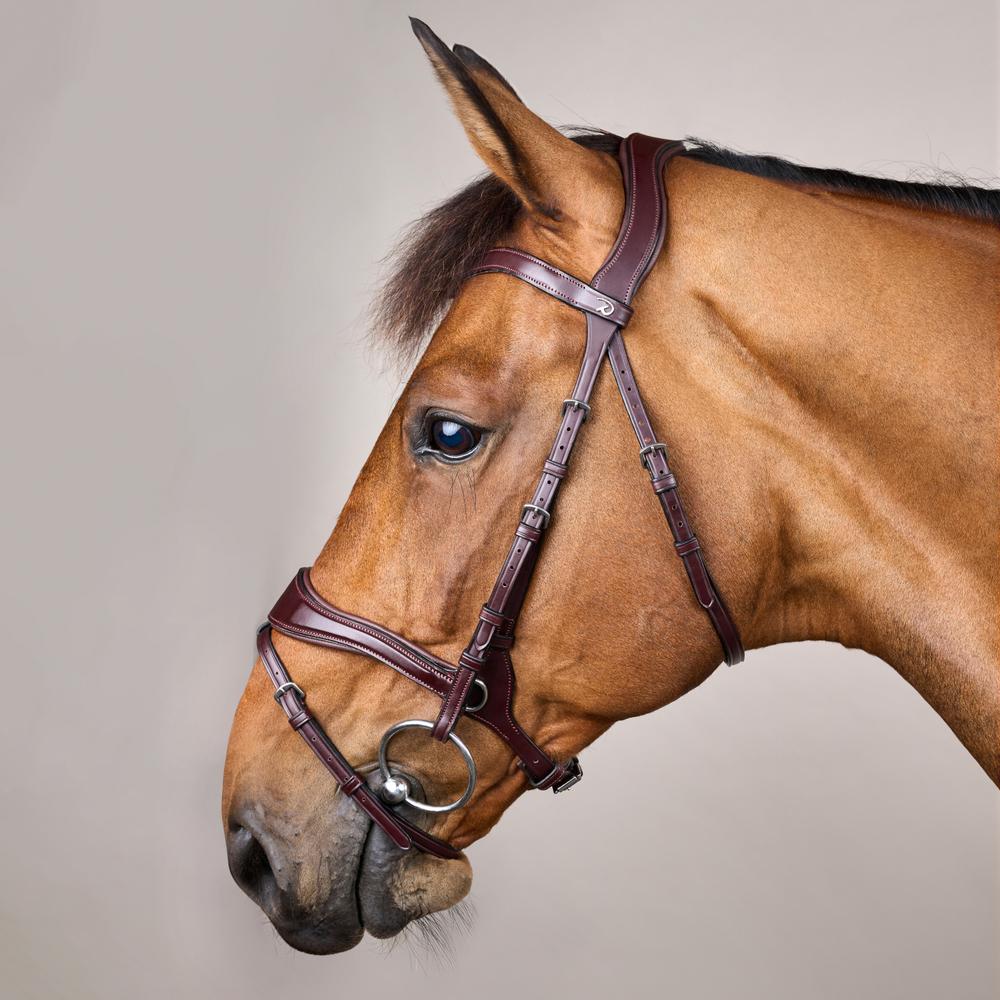 Dy'on D Motion Bridle New English Collection - Equiluxe Tack