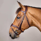Dy'on D Motion Bridle New English Collection - Equiluxe Tack