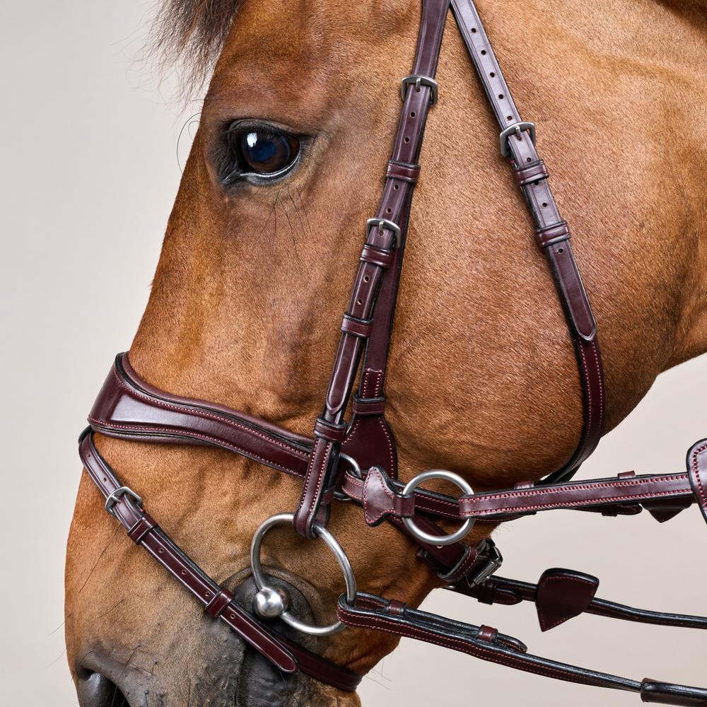 Dy'on D Motion Bridle New English Collection - Equiluxe Tack