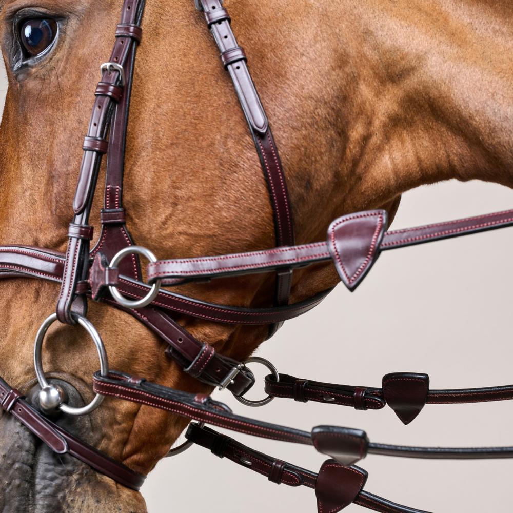 Dy'on D Motion Bridle New English Collection - Equiluxe Tack