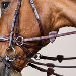 Dy'on D Motion Bridle New English Collection - Equiluxe Tack