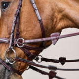 Dy'on D Motion Bridle New English Collection - Equiluxe Tack