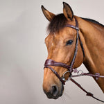 Dy'on D Motion Bridle New English Collection - Equiluxe Tack