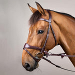 Dy'on D Motion Bridle New English Collection - Equiluxe Tack