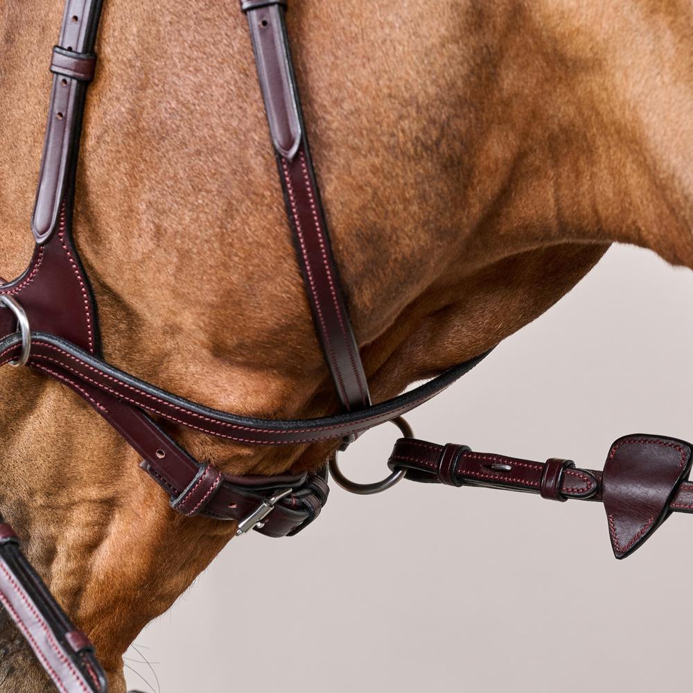 Dy'on D Motion Bridle New English Collection - Equiluxe Tack