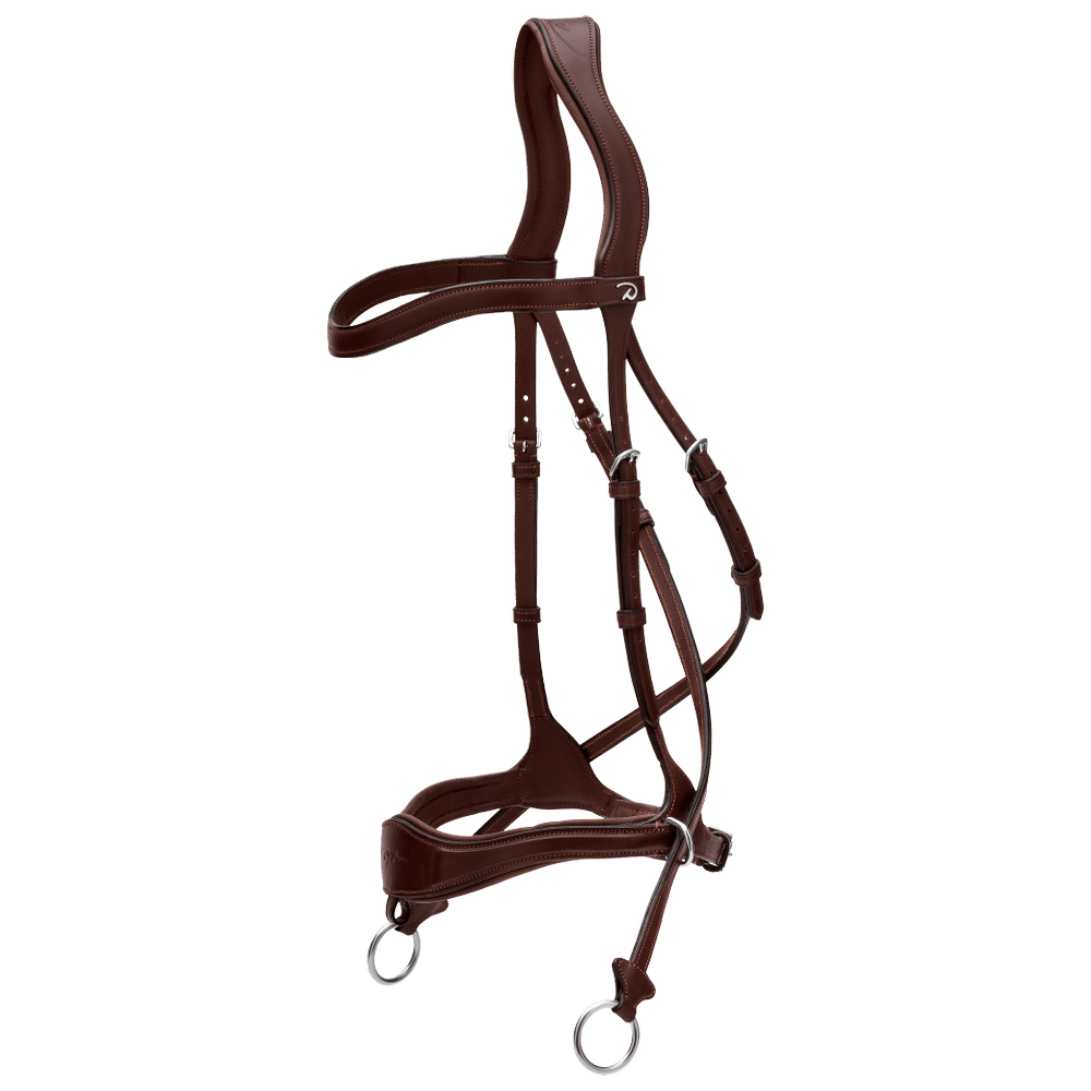 Dy'on D Motion Bridle New English Collection - Equiluxe Tack
