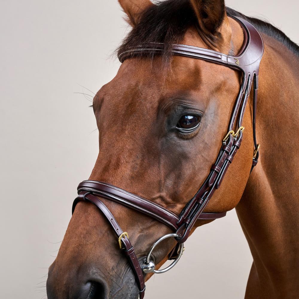 Dy'on Difference Bridle - Equiluxe Tack