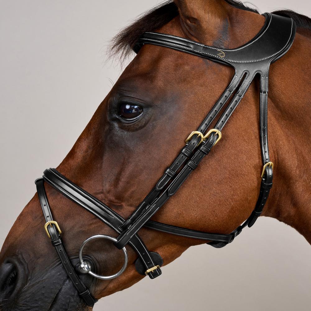 Dy'on Difference Bridle - Equiluxe Tack