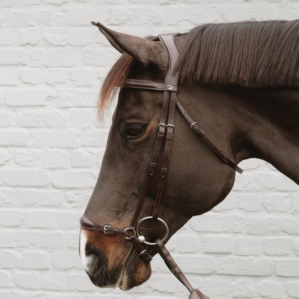 Dy'on Drop Noseband With Chains New English Collection - Equiluxe Tack