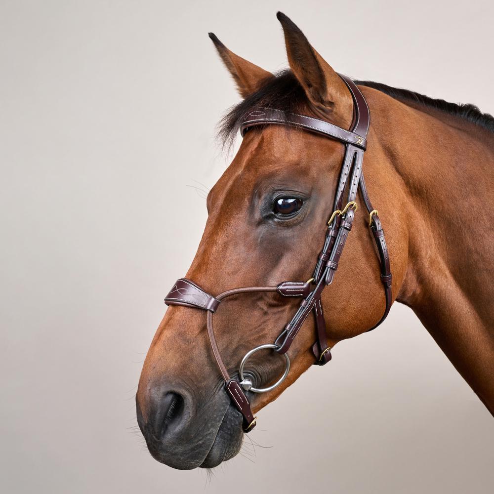 Dy'on Elastic Hybrid Noseband Bridle Cob - Equiluxe Tack