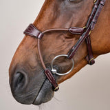 Dy'on Elastic Hybrid Noseband Bridle Cob - Equiluxe Tack