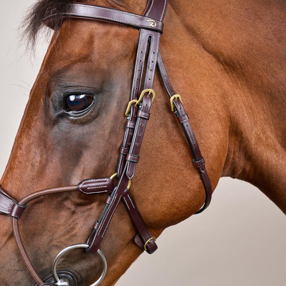 Dy'on Elastic Hybrid Noseband Bridle Cob - Equiluxe Tack