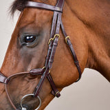 Dy'on Elastic Hybrid Noseband Bridle Cob - Equiluxe Tack