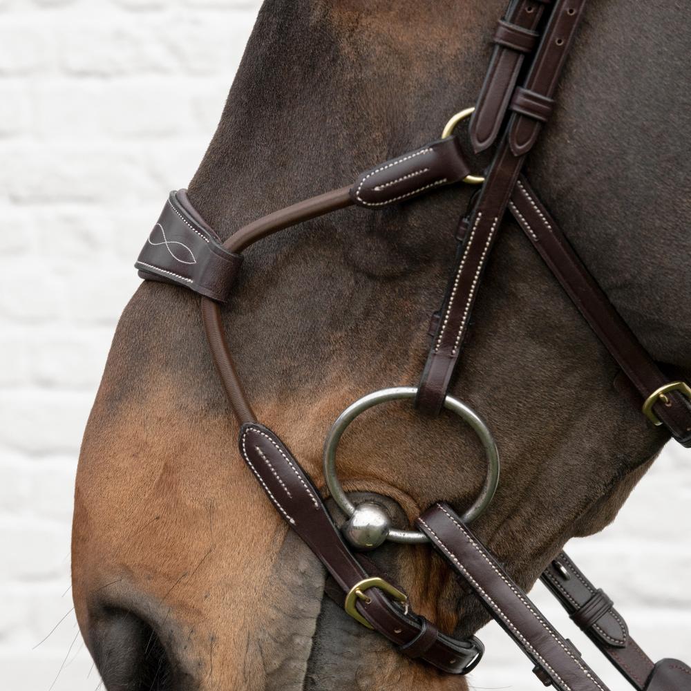 Dyon Elastic Hybrid Noseband Cob - Equiluxe Tack