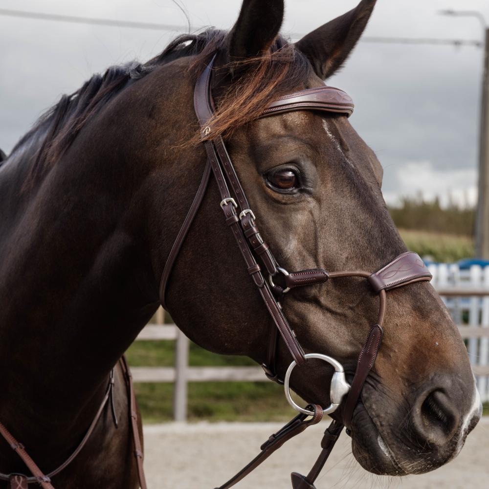 Dy'on Elastic Hybrid Noseband New English Collection Pony - Equiluxe Tack